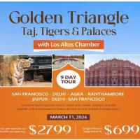 Chamber Travel Webinar: Golden Triangle India – Taj, Tigers & Palaces