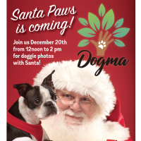 Santa Paws at Dogma!