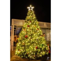 Holiday Tree Celebration