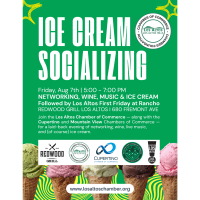 Networking: Ice Cream Socializing