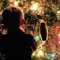 Holiday Open House & Tree-Lighting