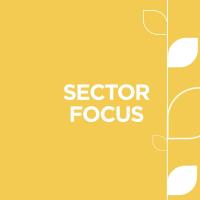 Online Sector Focus - Marketing