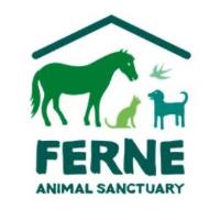 May Half Term at Ferne