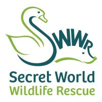 Secret World's Annual Auction and Ball