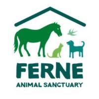 Ferne's Charity Gala