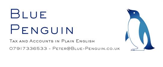 Blue Penguin Chartered Accountants Blue Penguin Chartered Accountants