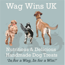 Wag Wins Wag Wins