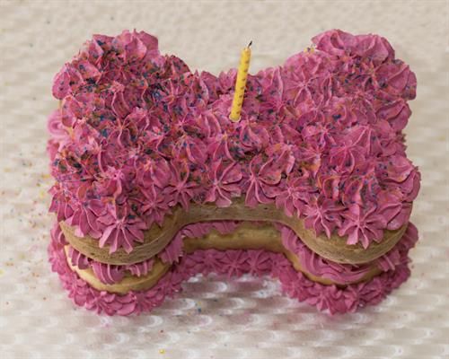 Gallery Image Birthday_Bone_Cake_with_Beetroot_Icing_2.jpg Gallery Image Birthday_Bone_Cake_with_Beetroot_Icing_2.jpg