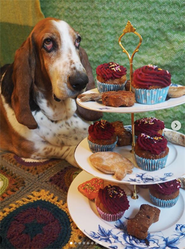 Gallery Image afternoonteahappy.png Gallery Image afternoonteahappy.png