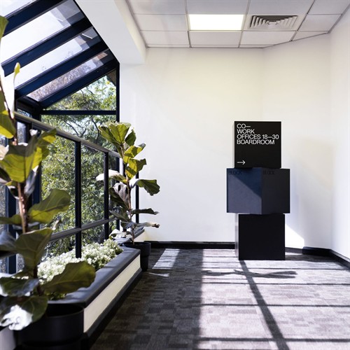 Gallery Image PLANTS.jpg