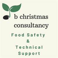 B Christmas Consultancy