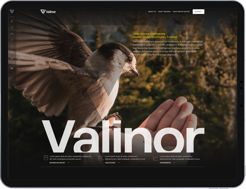 Valinor Intelligence website proudly designed and developed by Blunt Notion