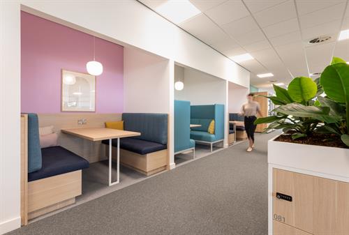 Creation of a new business services workspace for Cuckoo at their Head Office in Exeter.