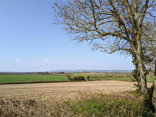 The view from Blackdown Hearing