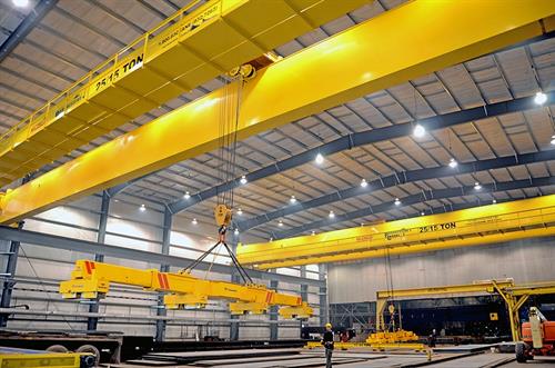 Overhead Gantry crane Training 