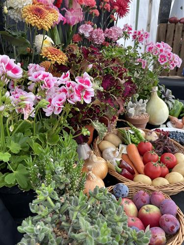 Amateurs put their skills to the test in the Competition Marquee
