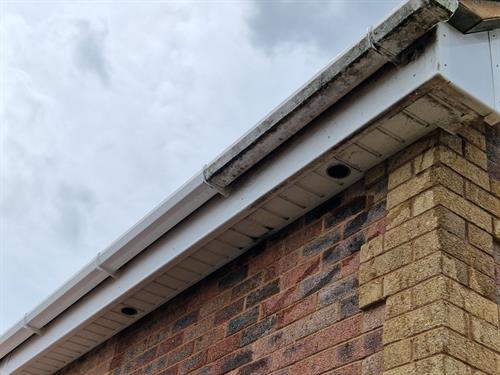 Gutter Fascia Soffit Cleaners