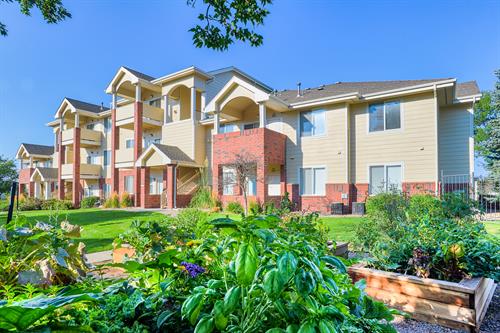 Outdoor Amenities