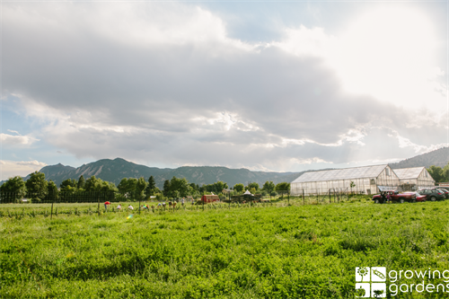 Our Boulder Farm sits on 11-acres of Long’s Gardens Farm and is one of the last remaining pieces of agriculturally zoned land in the City of Boulder