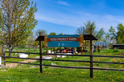 Growing Gardens Food Project Farm located at the Ed & Ruth Lehman YMCA (950 Lashley St.)