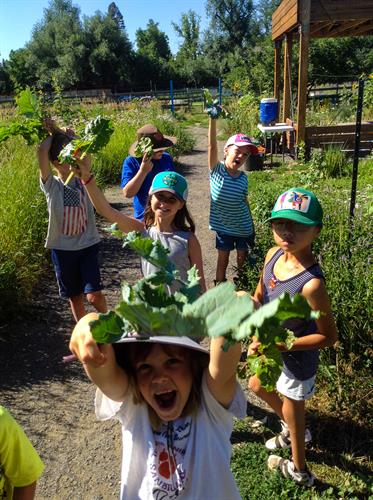 Our Children's Peace Garden programs are designed to reconnect children ages 5-11 with the earth 
