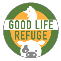 Good Life Refuge - Longmont
