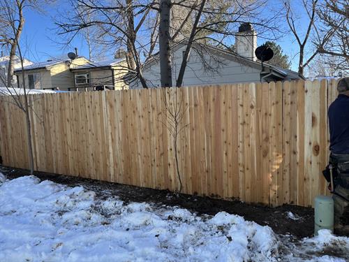 New Fence