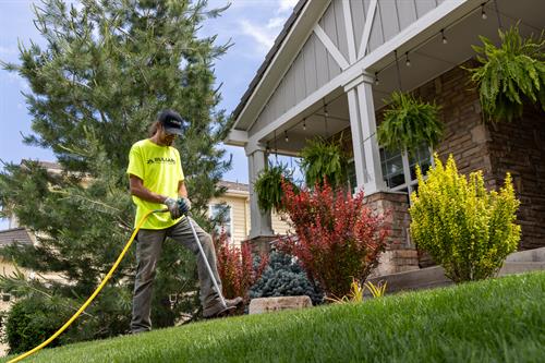 Gallery Image 29_bullard_tree_garden.jpg