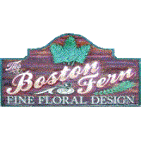 The Boston Fern
