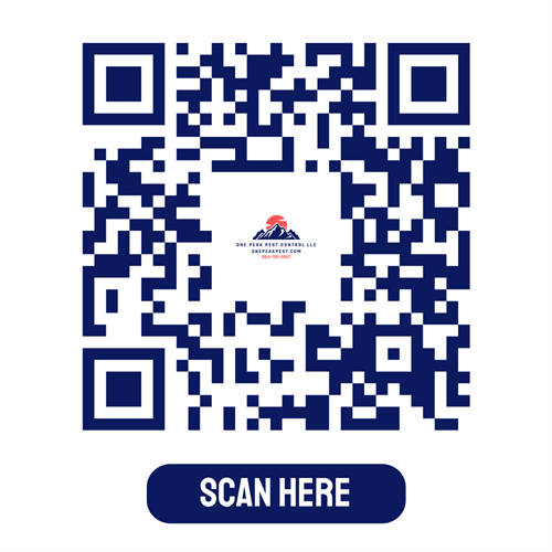 Gallery Image QR_code.png