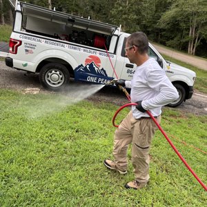 Briggs and Stratton rig