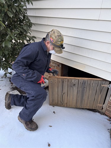 Gallery Image termite_crawl_space.jpeg