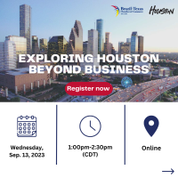 Exploring Houston Beyond Business 