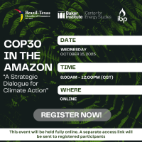 Webinar | COP 30 in the Amazon: Strategic Dialogue for Climate Action