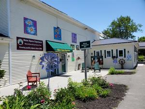 Maine Alpaca Experience Maine Alpaca Experience