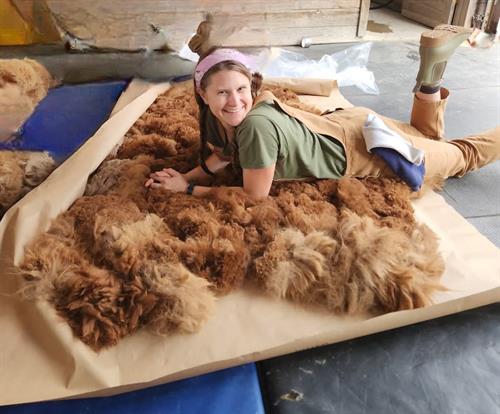 So soft, you can't help but lay in it!