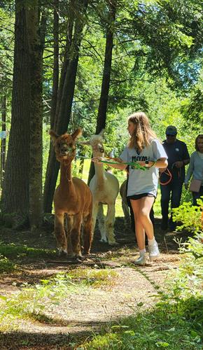 Book a private Alpaca Nature Trek through our website!