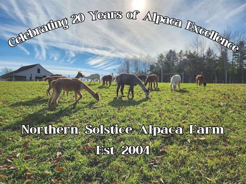 Over 20 years of alpaca excellence!