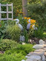 Belfast Garden Club’s Open Garden Day