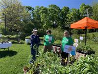 Belfast Garden Club’s Annual Plant Sale