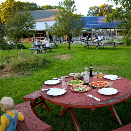 The orchard
