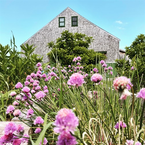 our 1800's barn