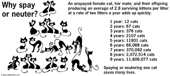 SPAY and NEUTER your pets