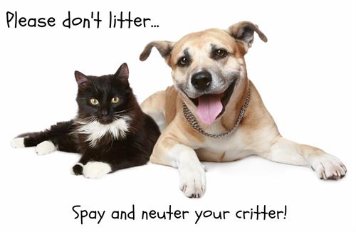 Spay and Neuter services