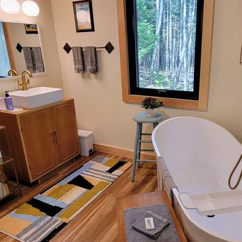 Spa bathroom with soaking tub.