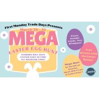 Mega Easter Egg Hunt