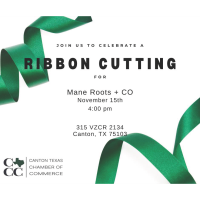 2024 - Ribbon Cutting - Mane Roots + CO.