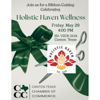 2026 Ribbon Cutting Holistic Haven Wellness