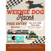 Weenie Dog Races
