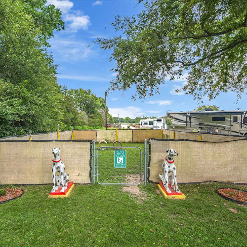 Fenced pet-friendly area where dogs can play, stretch, and enjoy the outdoors.